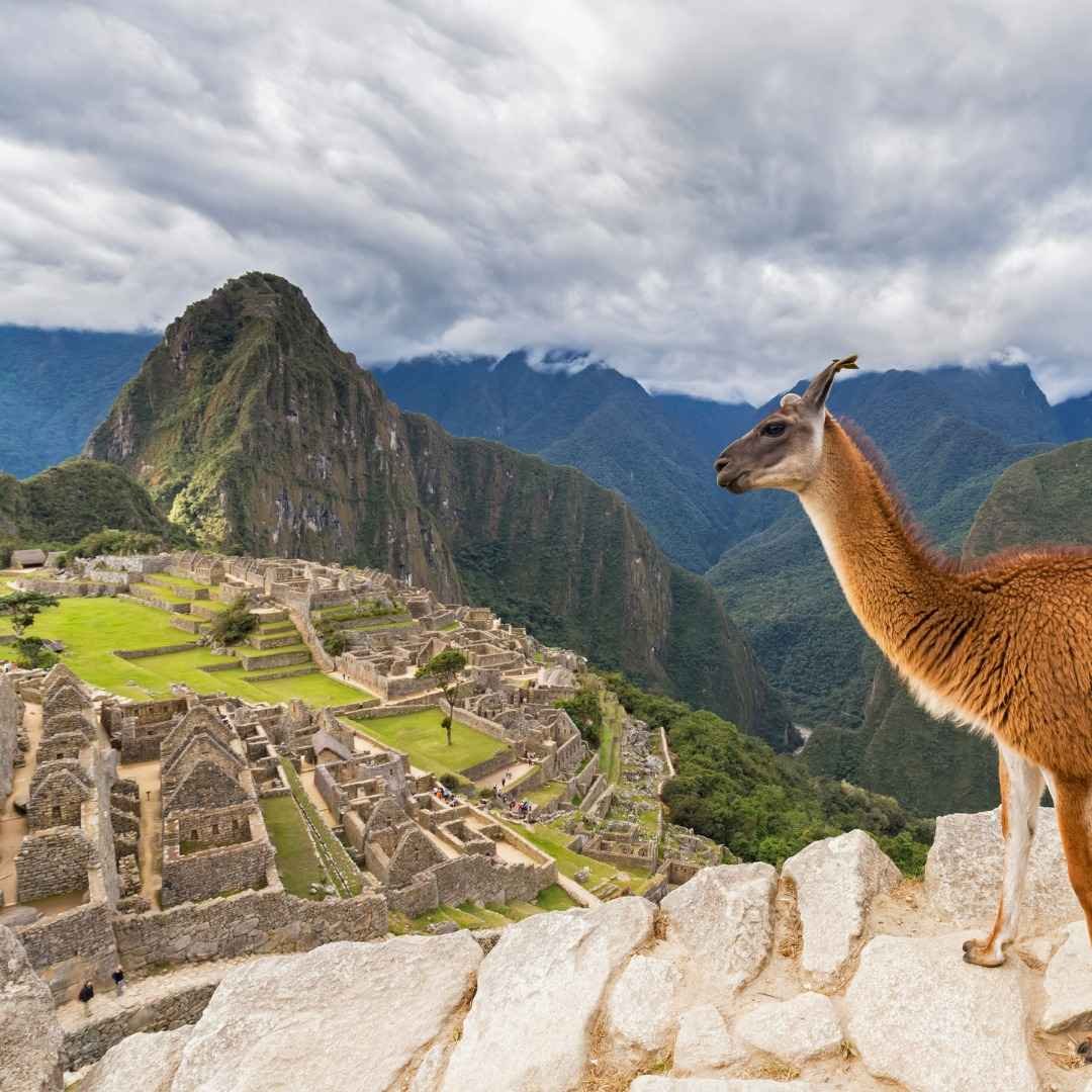5-Days Cusco Tour & Machu Picchu