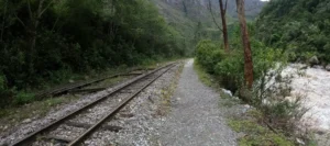 Complete Guide to the Inca Jungle Trek